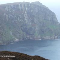 HornHead-N.PointLookoutBuildings.top