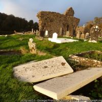 Donegal Friary in Autumn